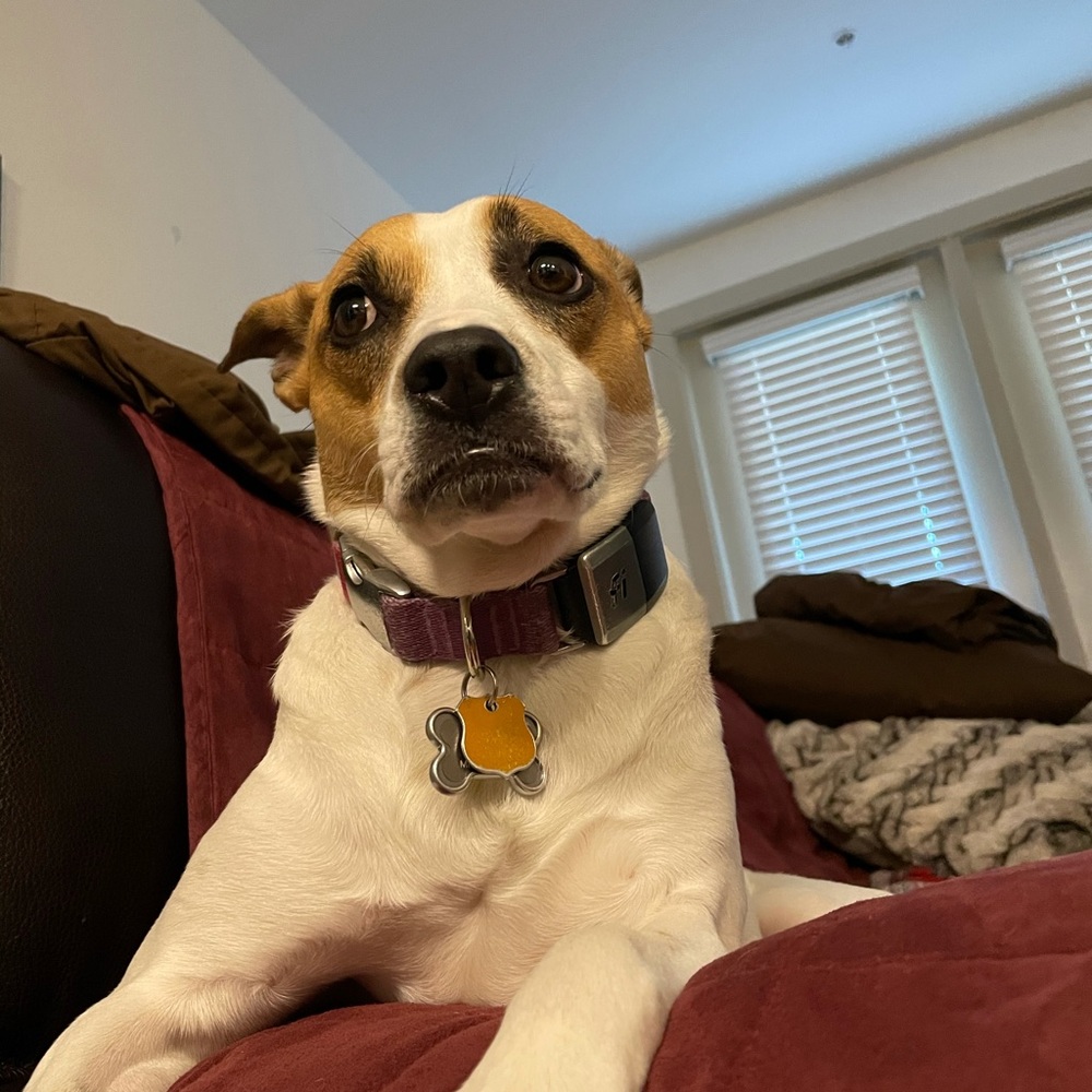 Meet your Posher, Taylor